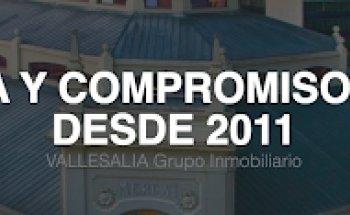 Vallesalia Grupo Inmobiliario