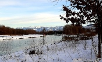 Würth Immobilien AG