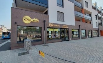 Efco Immo Agence Immobilière Saint-Louis, Trois Frontières (68), Achat, Estimation et Vente