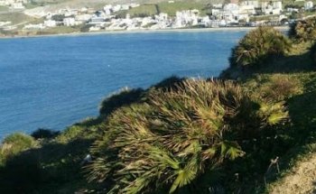 REI Retail Investment AG