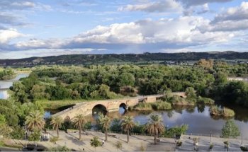 Tecnocasa agencia inmobiliaria