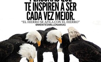 PJ Gestoría Inmobiliaria