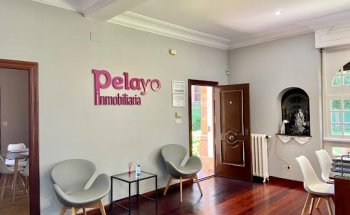 Inmobiliaria Pelayo S L