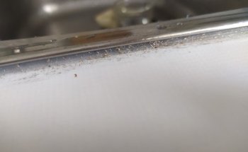 Cantabria Casa Multiasistencia