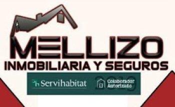 INMOBILIARIA Y SEGUROS MELLIZO