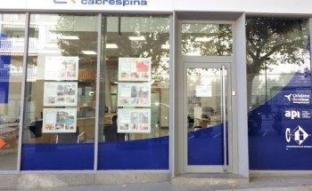 FINQUES CABRESPINA S.L.