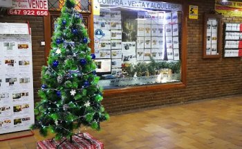 Inmobiliaria Pepe Calavia SL