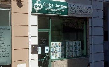 Inmobiliaria Carlos González