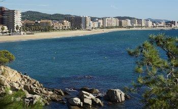 Immorent Sant Antoni