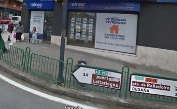 reines red de inmobiliarias españolas