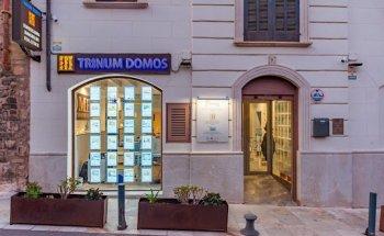 Trinum Domos