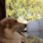 아부다비게스트하우스 임마누엘