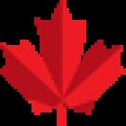 Maple Tree Real Estate