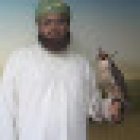 Princess Star Real Estate Brokers