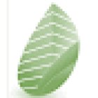 STOA MANAGEMENT Sàrl