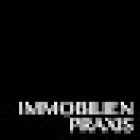 Immobilienpraxis AG