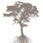 Baumpflege Luisoni GmbH