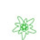 Edelweiss Immobilien und Verwaltungs GmbH