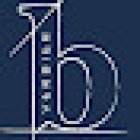 Besson real estate Verbier