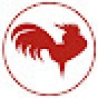 Galli Immo-Service AG