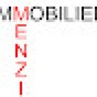Menzi Immobilier