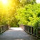 Immobau 4u AG Immobilien by Claudio Peter Verkauf und Verwaltung