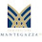 IMMOBILIARE MANTEGAZZA SA