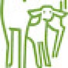 Bündner Wolldeckenfabrik Immobilien AG