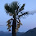 HM Investment & Immobilien AG