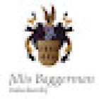 Jillis Baggerman makelaardij