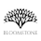 Bloomstone Real Estate