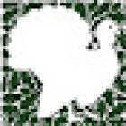 Meierhof Rassfeld country specialties GmbH & Co. KG