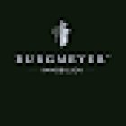 Immobilienmakler in Lingen & Dortmund - BURGMEYER Immobilien