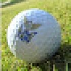 KP-International Immobilien Hofheim