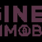 Ginet Immobilier Roanne