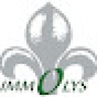 Agence immobilière Immolys Tournus