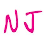 Nicole Joubert LES PONTS DE CE