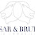 César et Brutus Immobilier