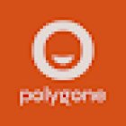 Polygone SA Aurillac