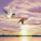 AGENCE DE LA COSTIERE