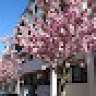 BRIGITTE SAUVAGER IMMOBILIER