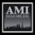 AMI IMMOBILIER