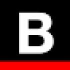 Bunader Business Real Estate