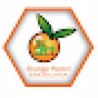 Orange Home Inmobiliaria