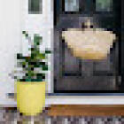 Ray White Timaru