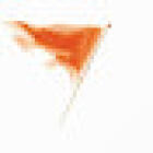 Newton Fallowell Estate and Letting Agents Lincoln