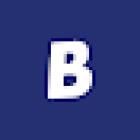 The Bizzarro Agency, New York Real Estate Agents