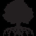 Roots Real Estate Group