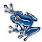 Blue Frog Property Management