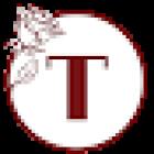 Toledo Realty CT